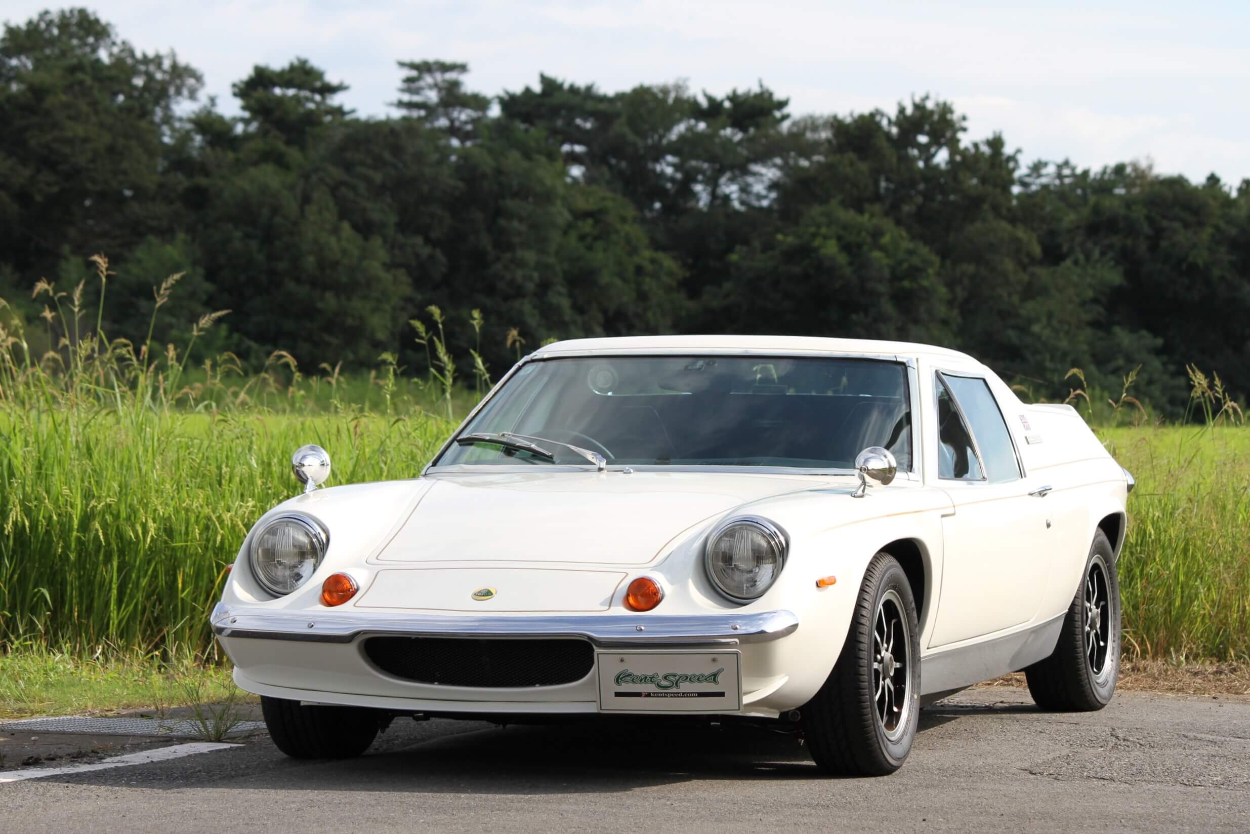 CAR-856（CF497）