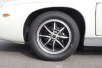 CAR-856（CF497）